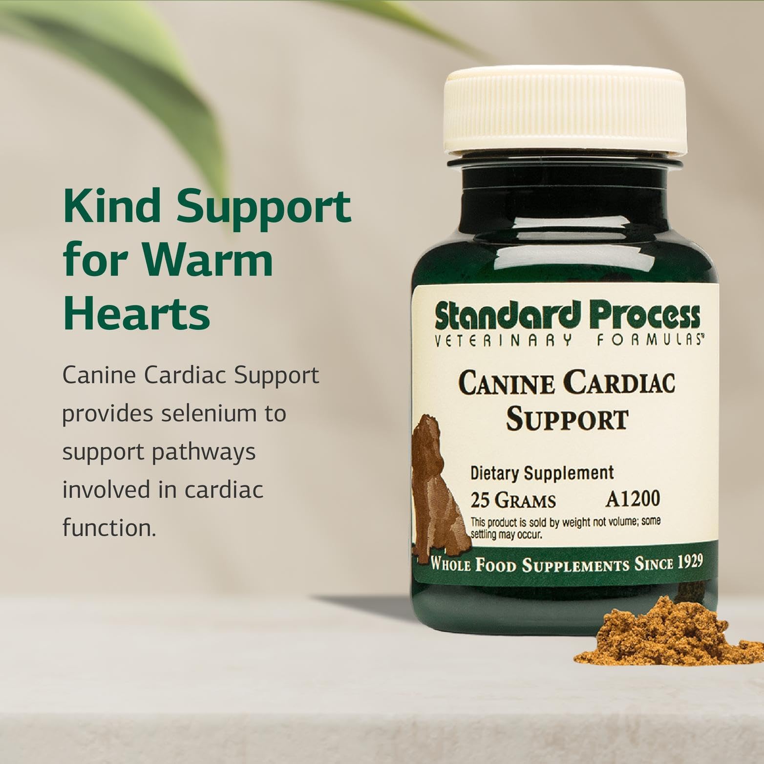 Dosing scoop for small bottle of Standard Process Canine Cardiac Support enables precise portions