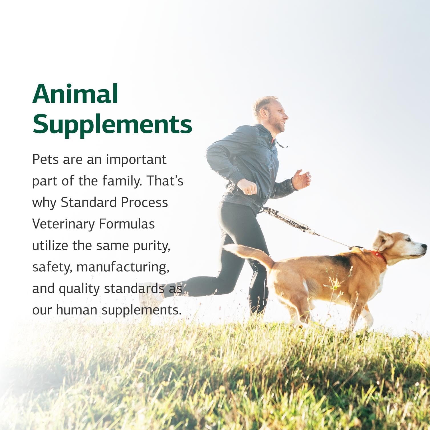 Serving image from Standard Process conveys trust and routine for daily canine health.