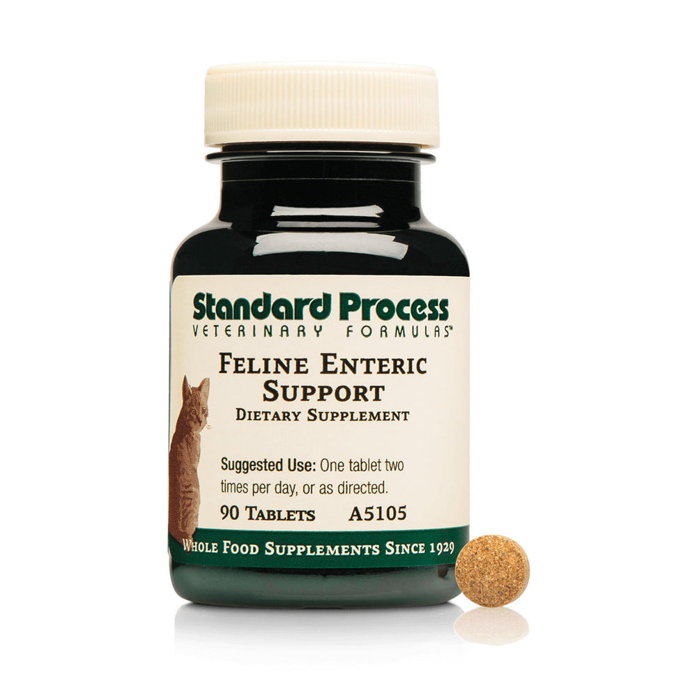 Standard Process Feline Enteric Support bottle for daily digestive balance.