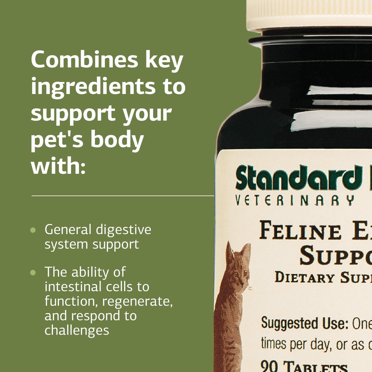 Feline Enteric Support mixed with food for easy administration.