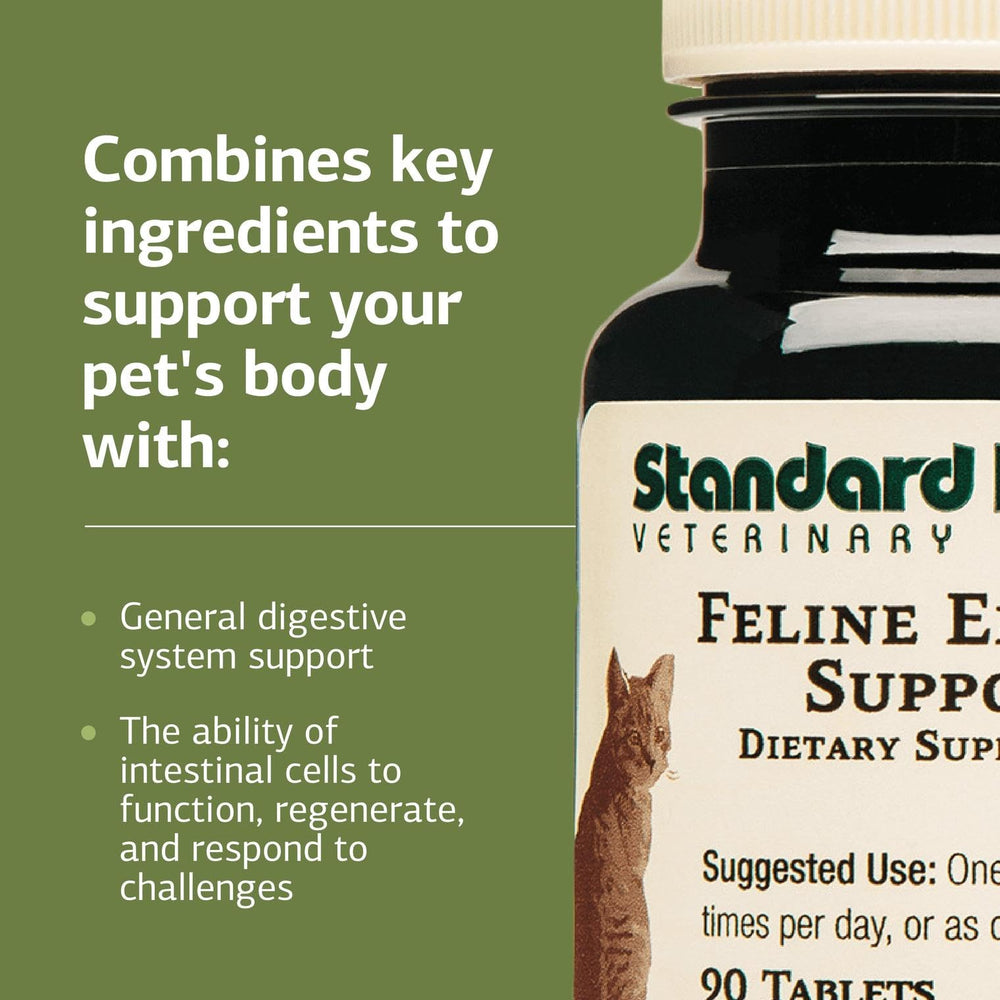 Feline Enteric Support mixed with food for easy administration.