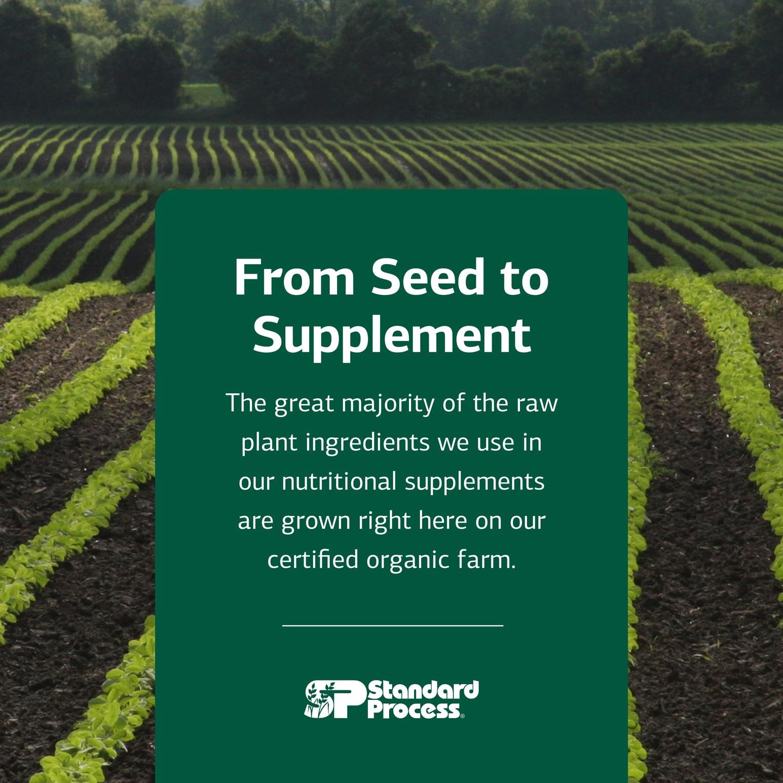 Whole-food nutrition approach from Standard Process supports overall vitality.