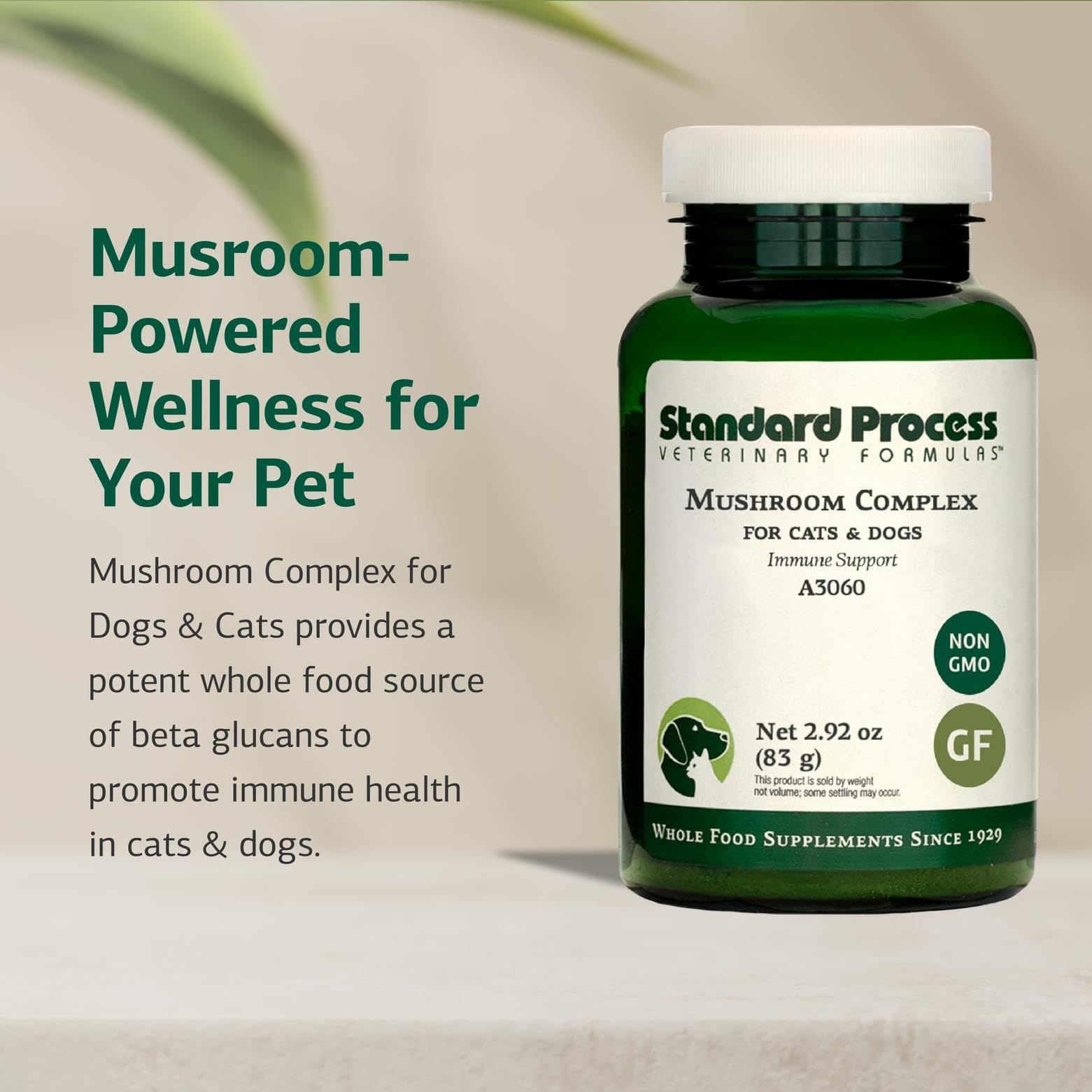 Standard Process Lion Mane extract close-up highlighting beta-glucans for immune support.