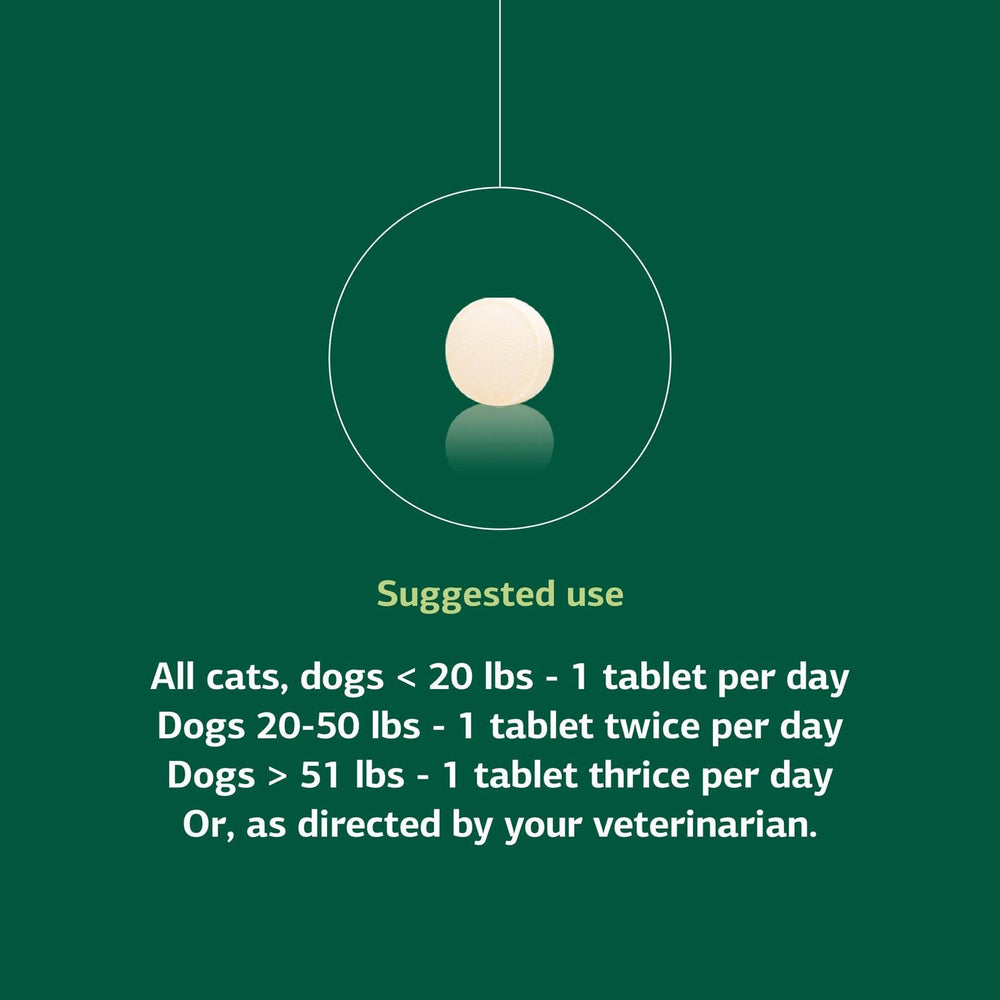VF Antronex for Pets immune support graphic showing potential immune health benefits