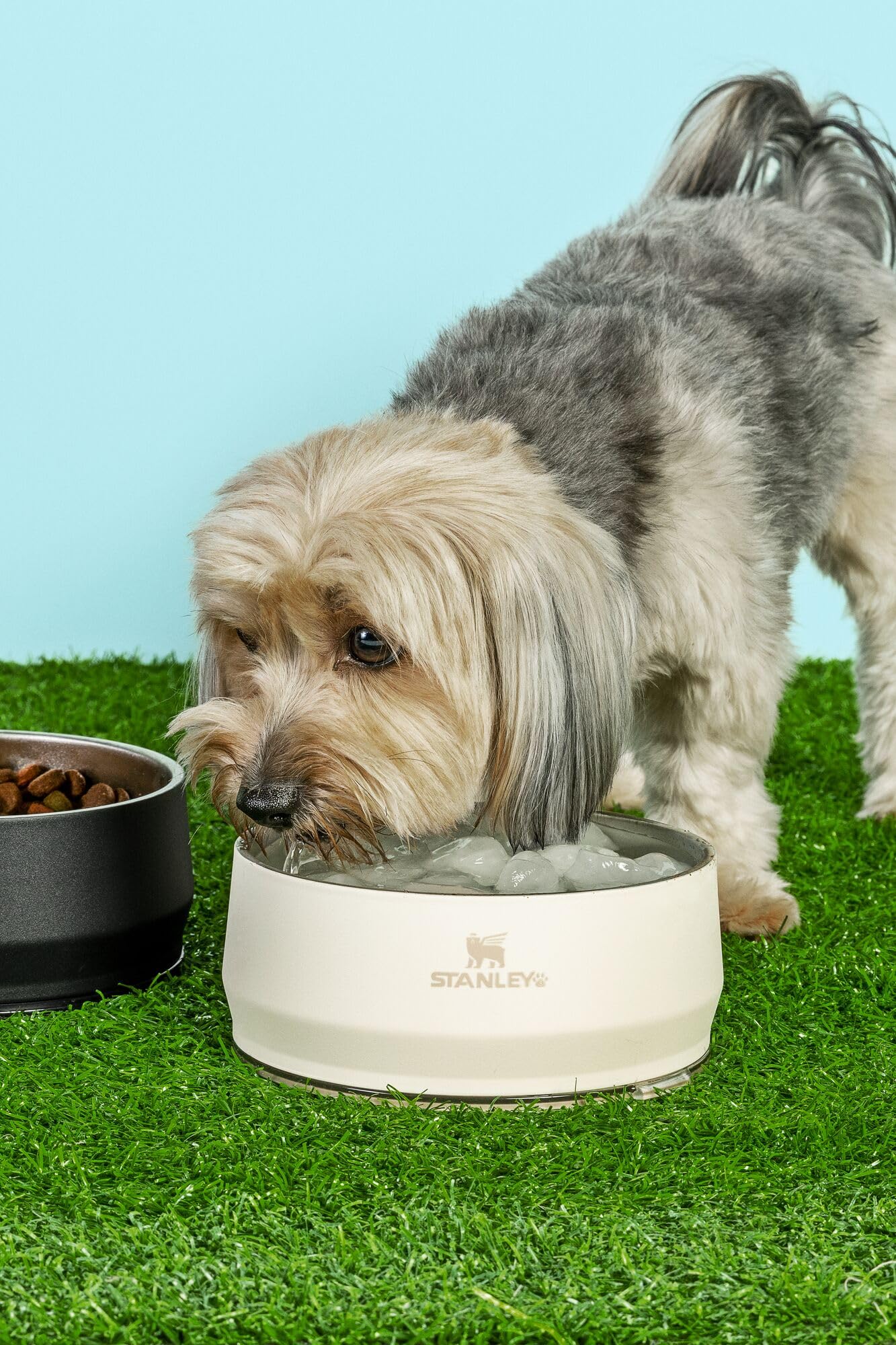 STANLEY Pet Bowl durable 18/8 stainless steel construction.