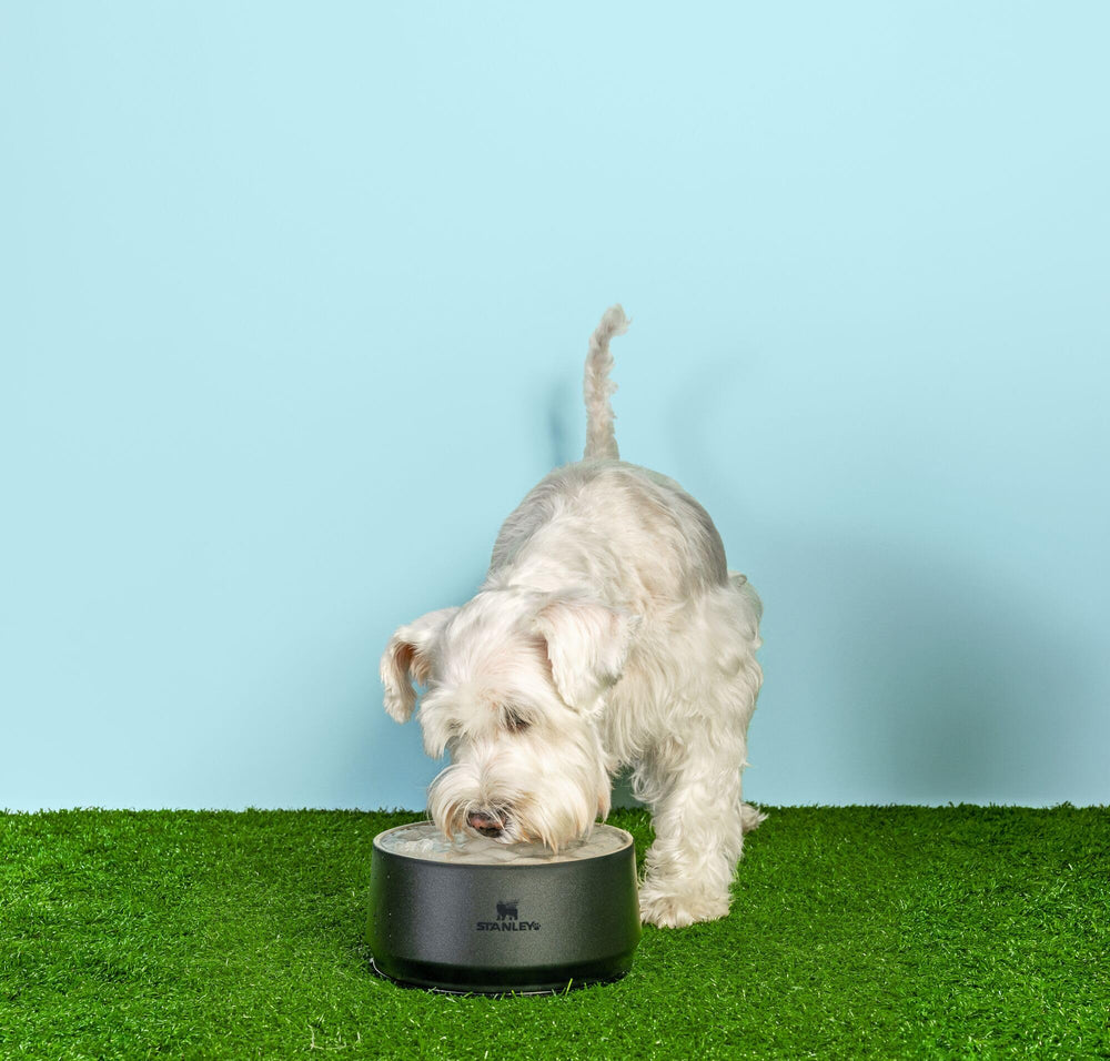 STANLEY Pet Bowl is stackable for compact storage