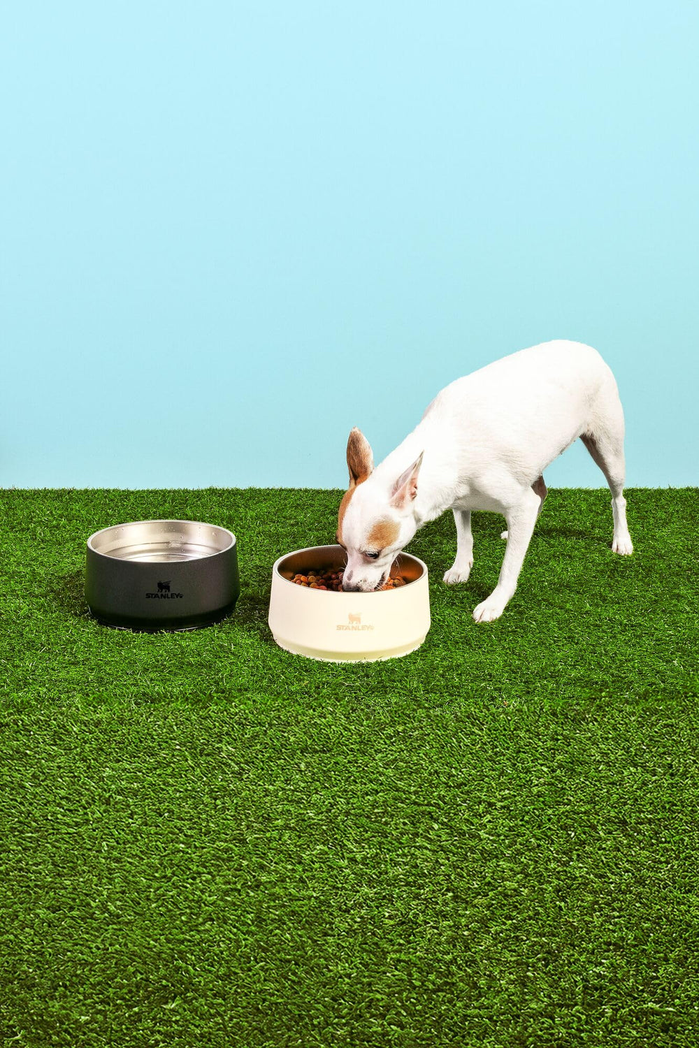 Stanley Pet Bowl tapered sides ease feeding from any angle.