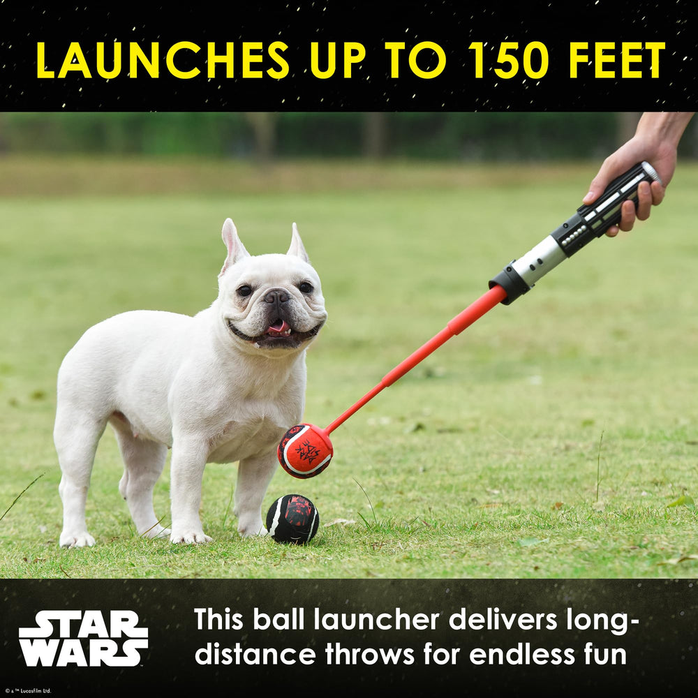 Darth Vader-inspired design adds fun flair to fetch.