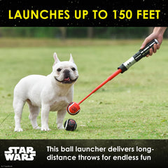 Darth Vader-inspired design adds fun flair to fetch.