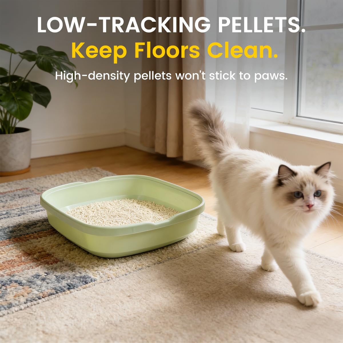 STAREARTH Tofu Cat Litter dust-free pour creates cleaner air.