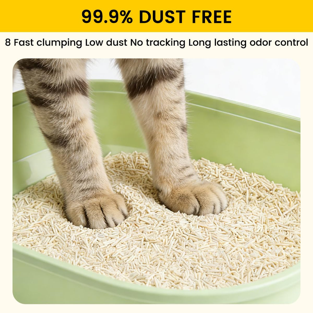 STAREARTH Tofu Cat Litter odor control with a light scent.