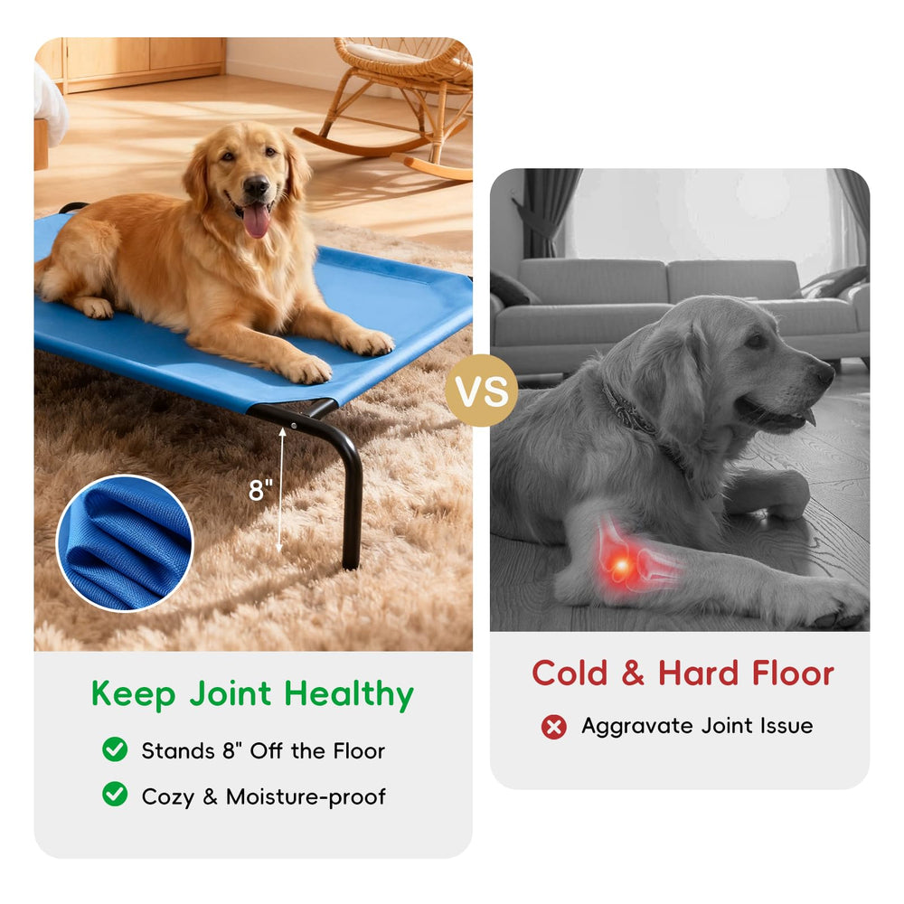 STARLATTA elevated dog bed frame with rust-proof tubes on display.