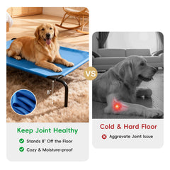 STARLATTA elevated dog bed frame with rust-proof tubes on display.