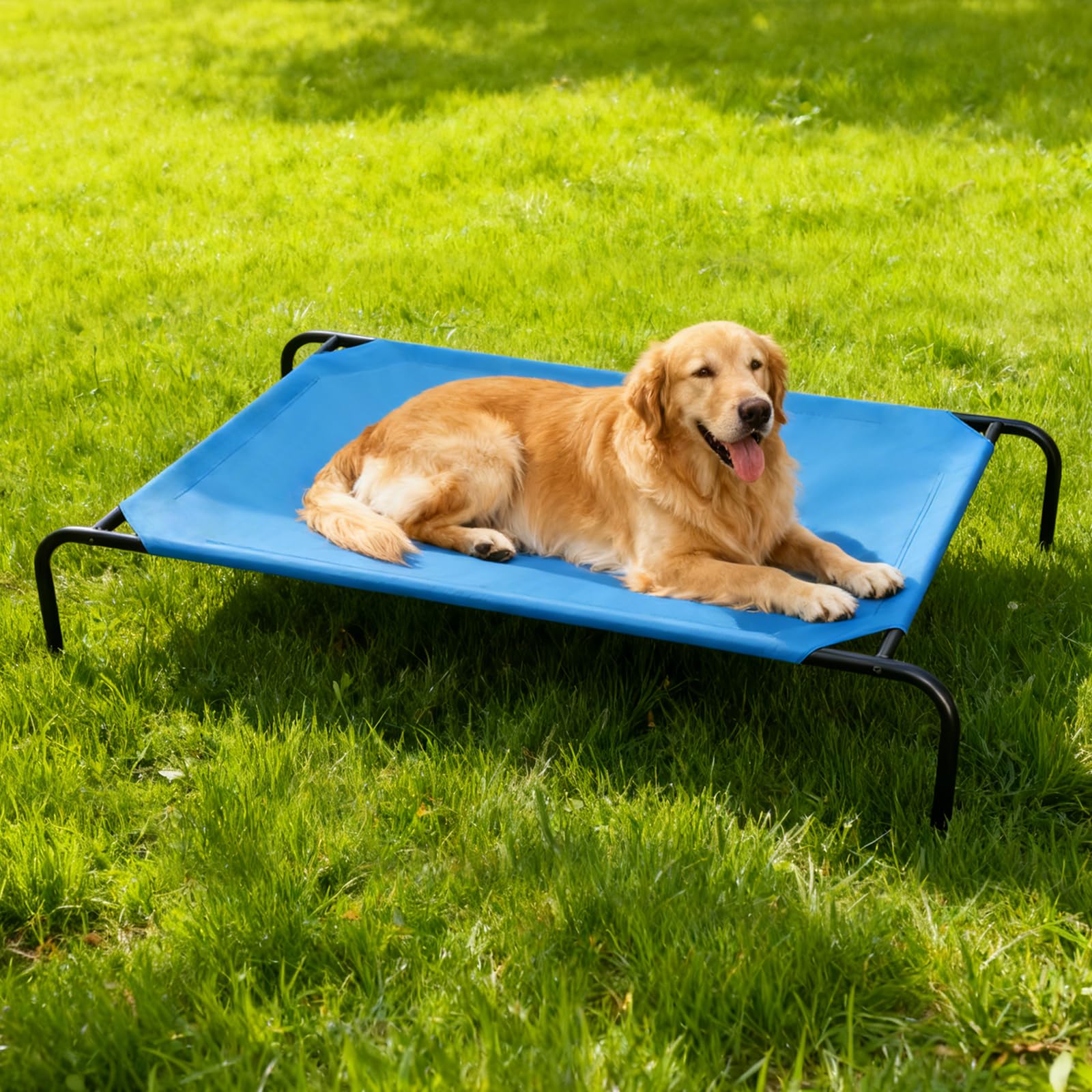 STARLATTA indoor-outdoor dog bed ready for daily naps.