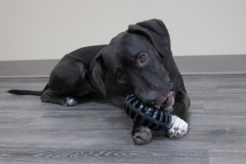Starmark Everlasting Treat Wheeler Medium dishwasher-safe design simplifies cleanup after fetch and chew sessions.