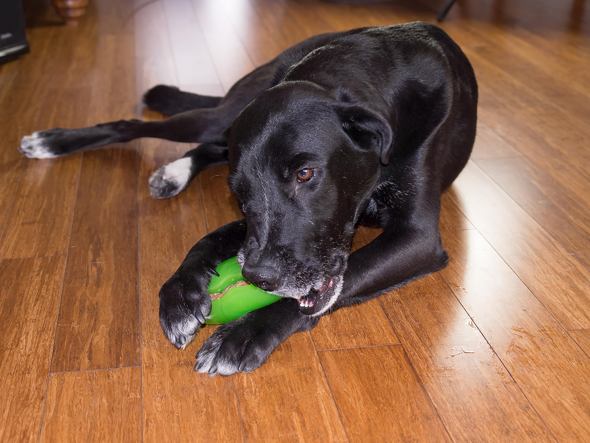Starmark Pickle Pocket supports interactive chewing sessions