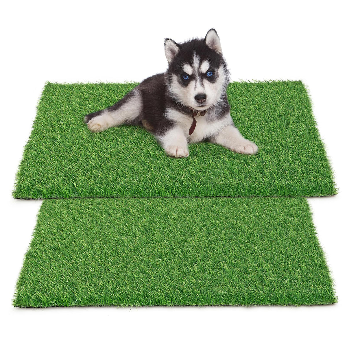 STARROAD-TIM potty grass pad 30x20 inch for convenient indoor training.