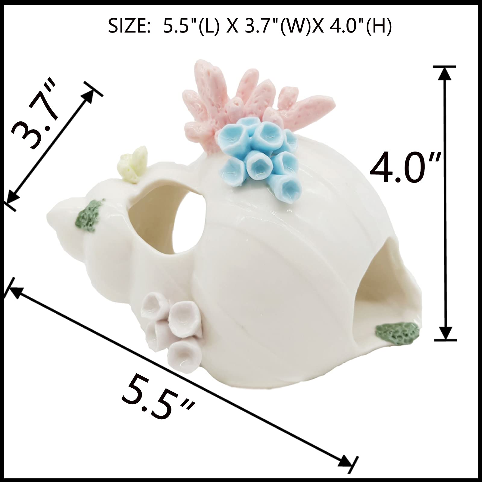 Starryfill conch with three holes promotes natural swimming through tank decor