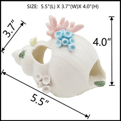 Starryfill conch with three holes promotes natural swimming through tank decor