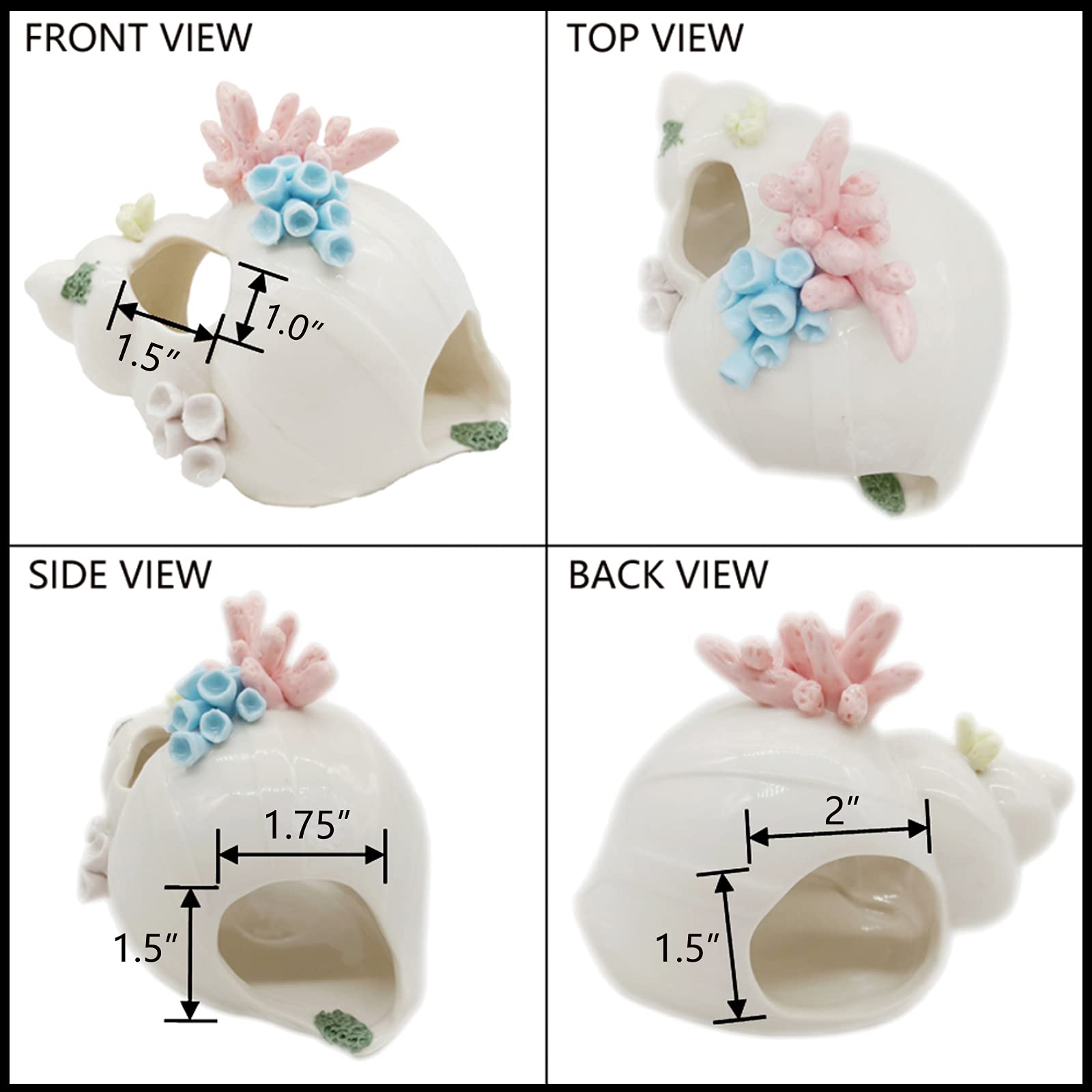Starryfill conch ornament suits saltwater and freshwater tanks with eye-catching design