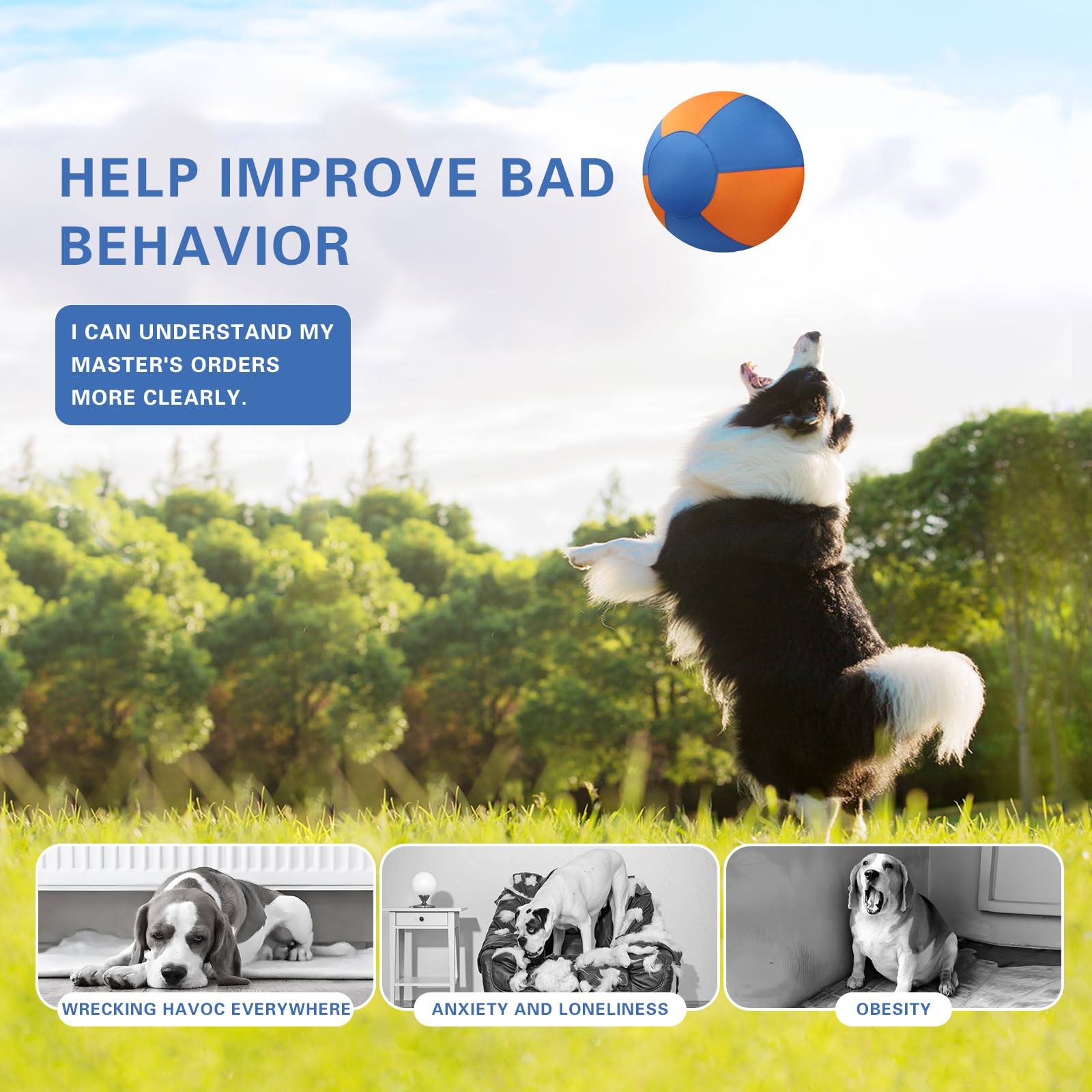 Stcohyz ball supports obedience training and reduces boredom in dogs.