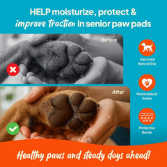 Steady Paws ingredients banner highlighting shea butter and coconut oil for skin nourishment