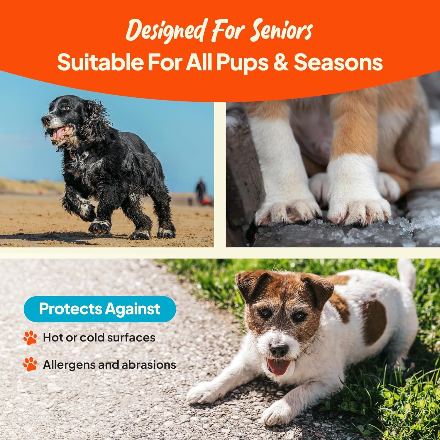 Steady Paws seasonal paw protection image highlighting year-round defense for paws