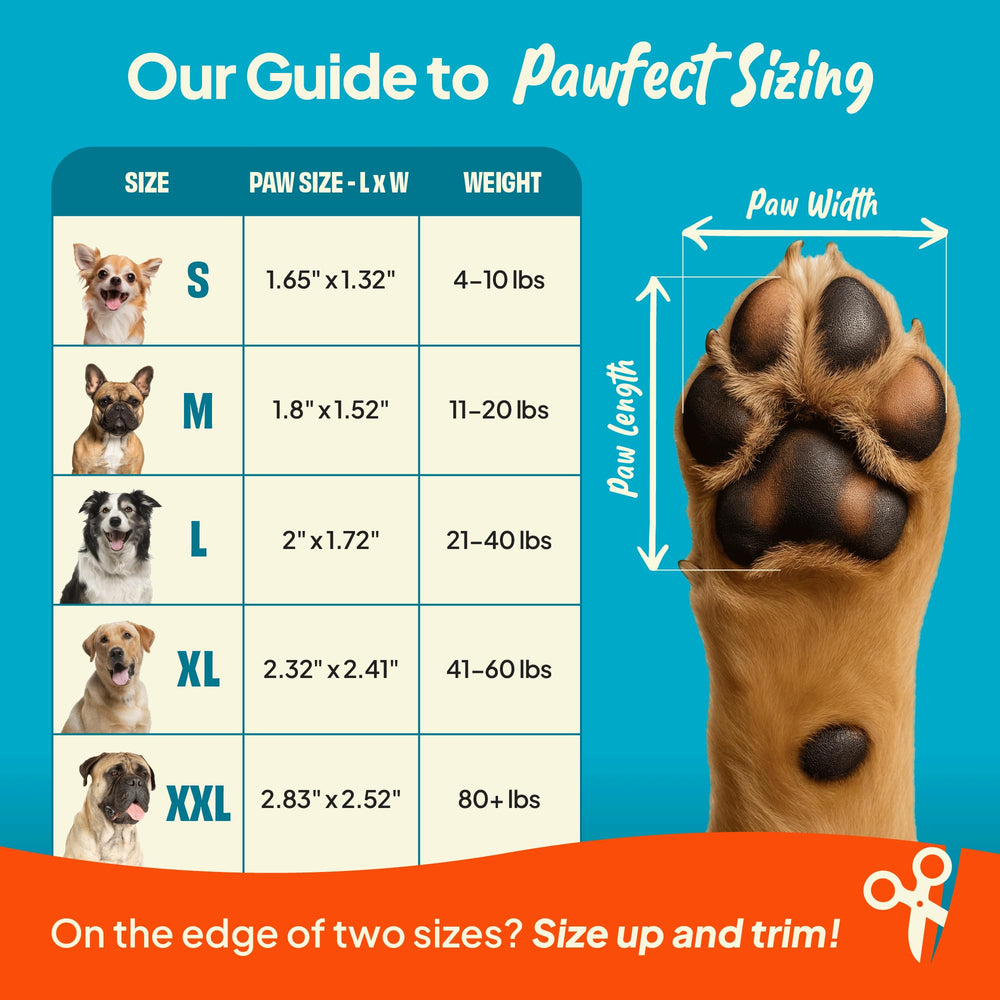Steady Paws supports senior dogs with gentle stability during movement