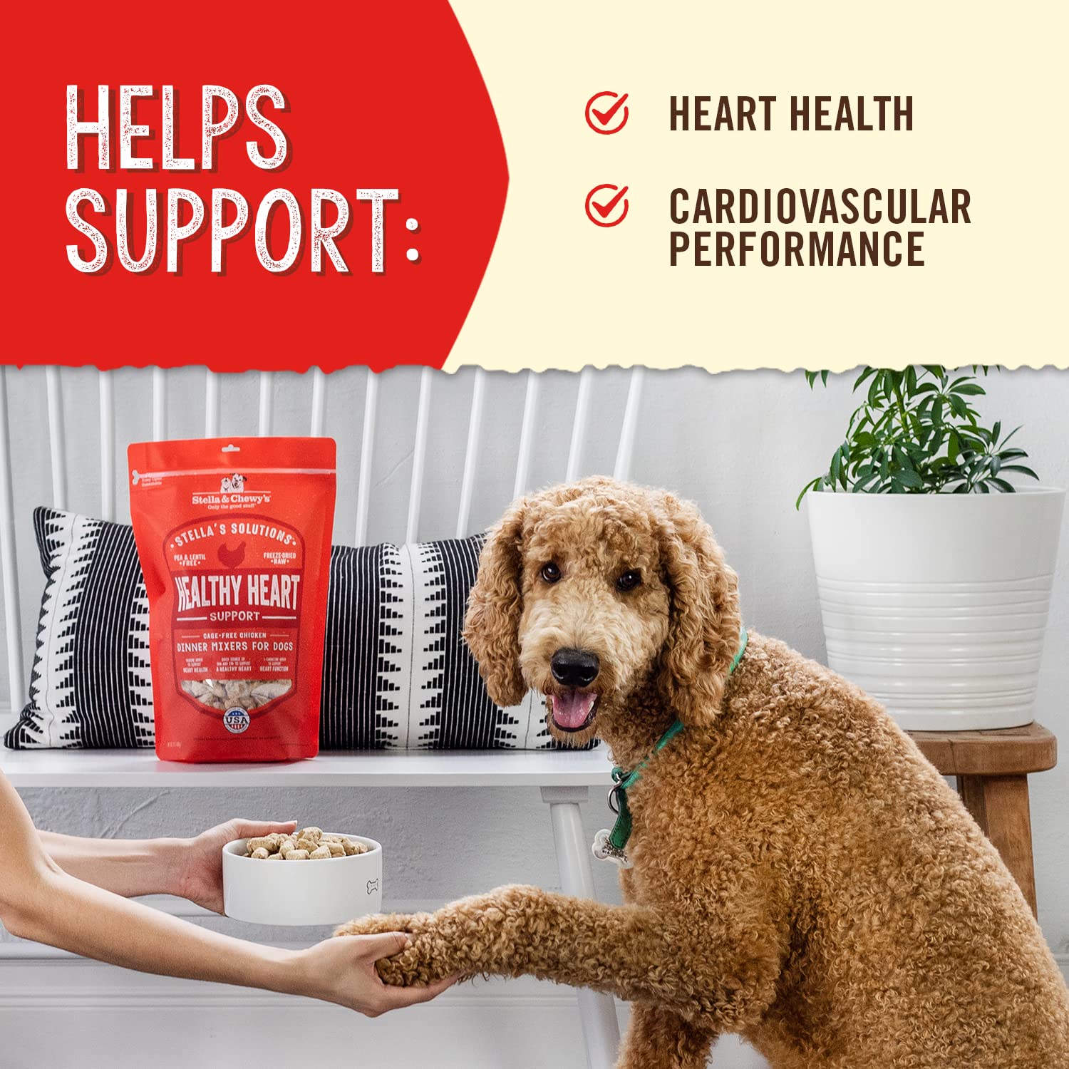 Stella & Chewy's cage-free chicken bites showcase natural protein and whole-prey nutrition.
