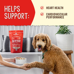 Stella & Chewy's cage-free chicken bites showcase natural protein and whole-prey nutrition.