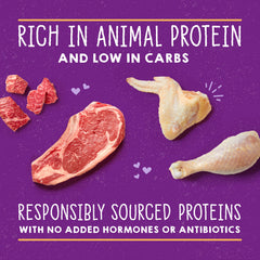 Stella & Chewy's Carnivore Cravings Savory Shreds in broth illustrating high-moisture meal appeal.