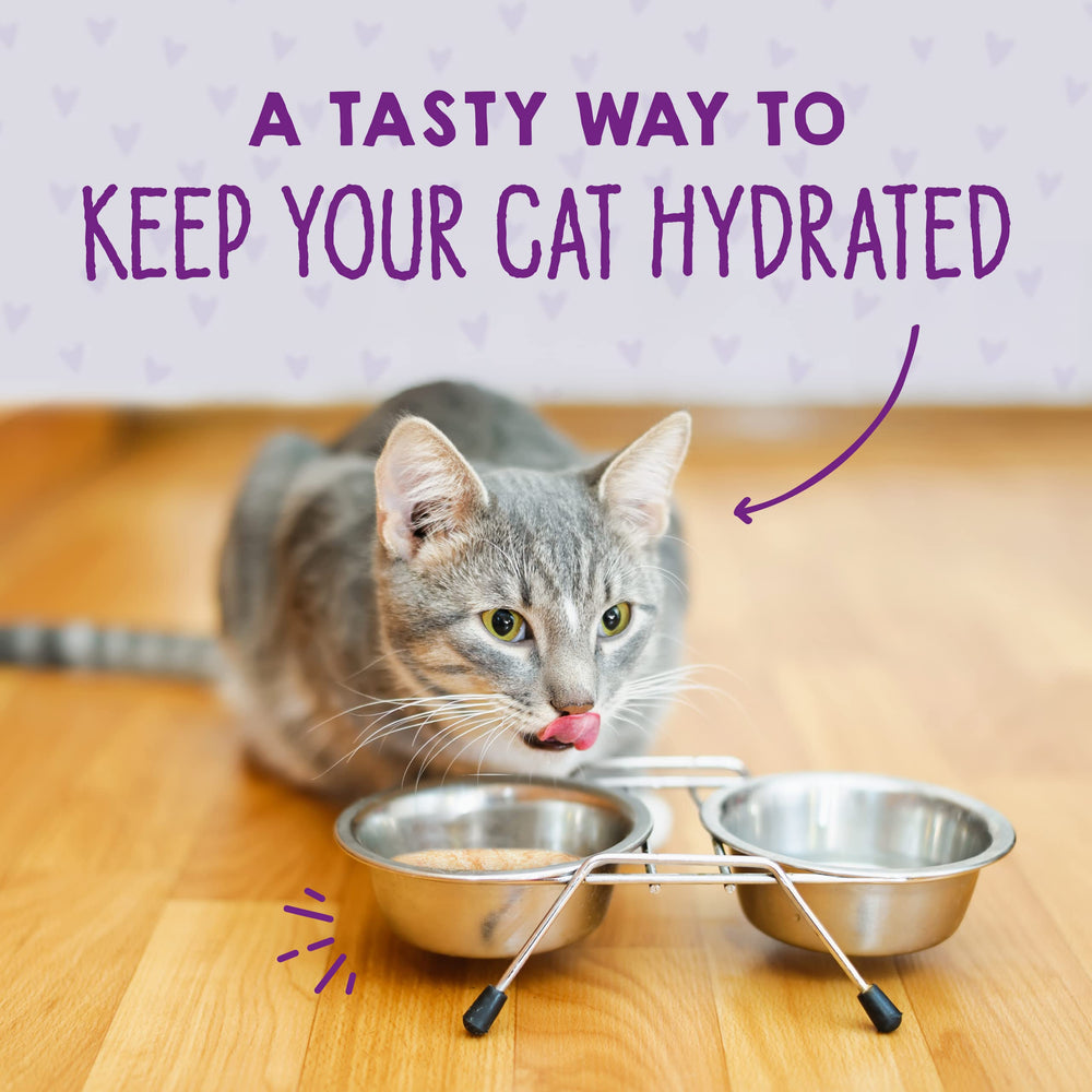 Stella & Chewy's Carnivore Cravings Savory Shreds as topper over kibble for flavor.