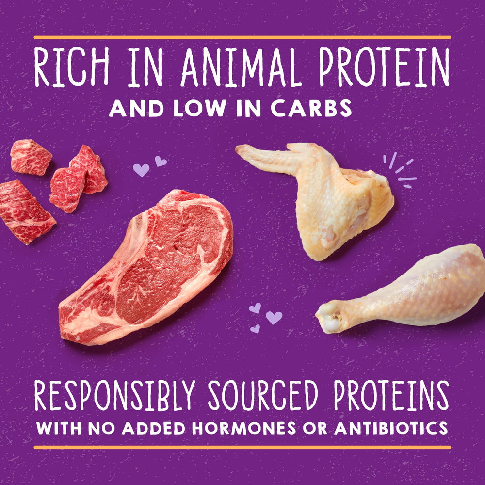Stella & Chewy's Carnivore Cravings serving bowl closeup demonstrates topper-ready texture