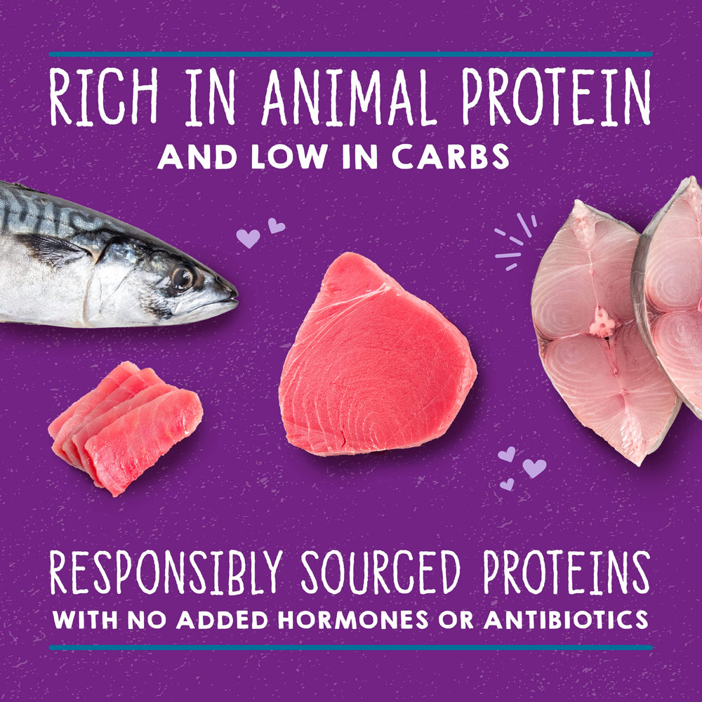 Stella & Chewy's cat-eating-tuna-mackerel-dish demonstrates a hydration-friendly meal option.
