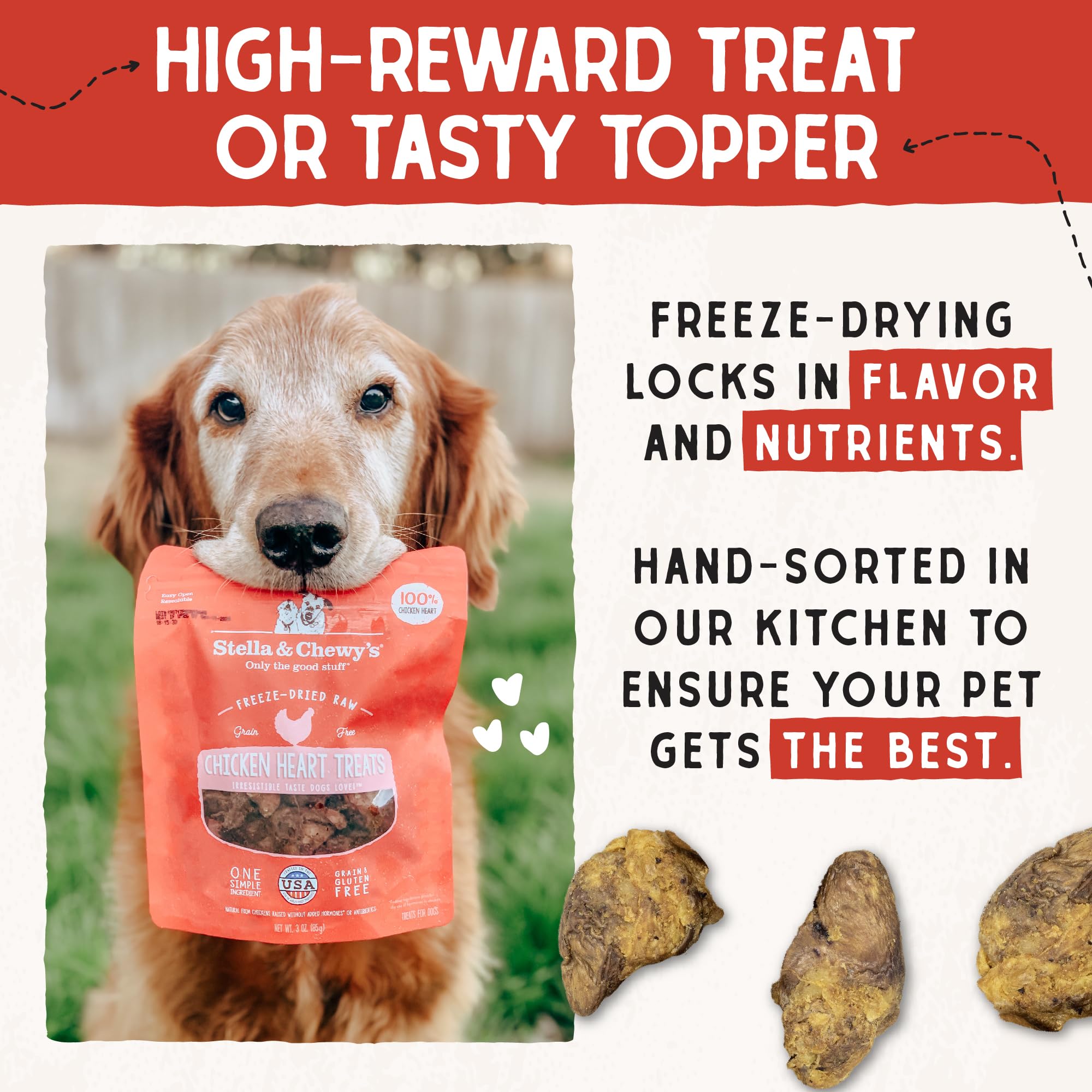 Protein-rich chicken heart nutrition supports active dogs