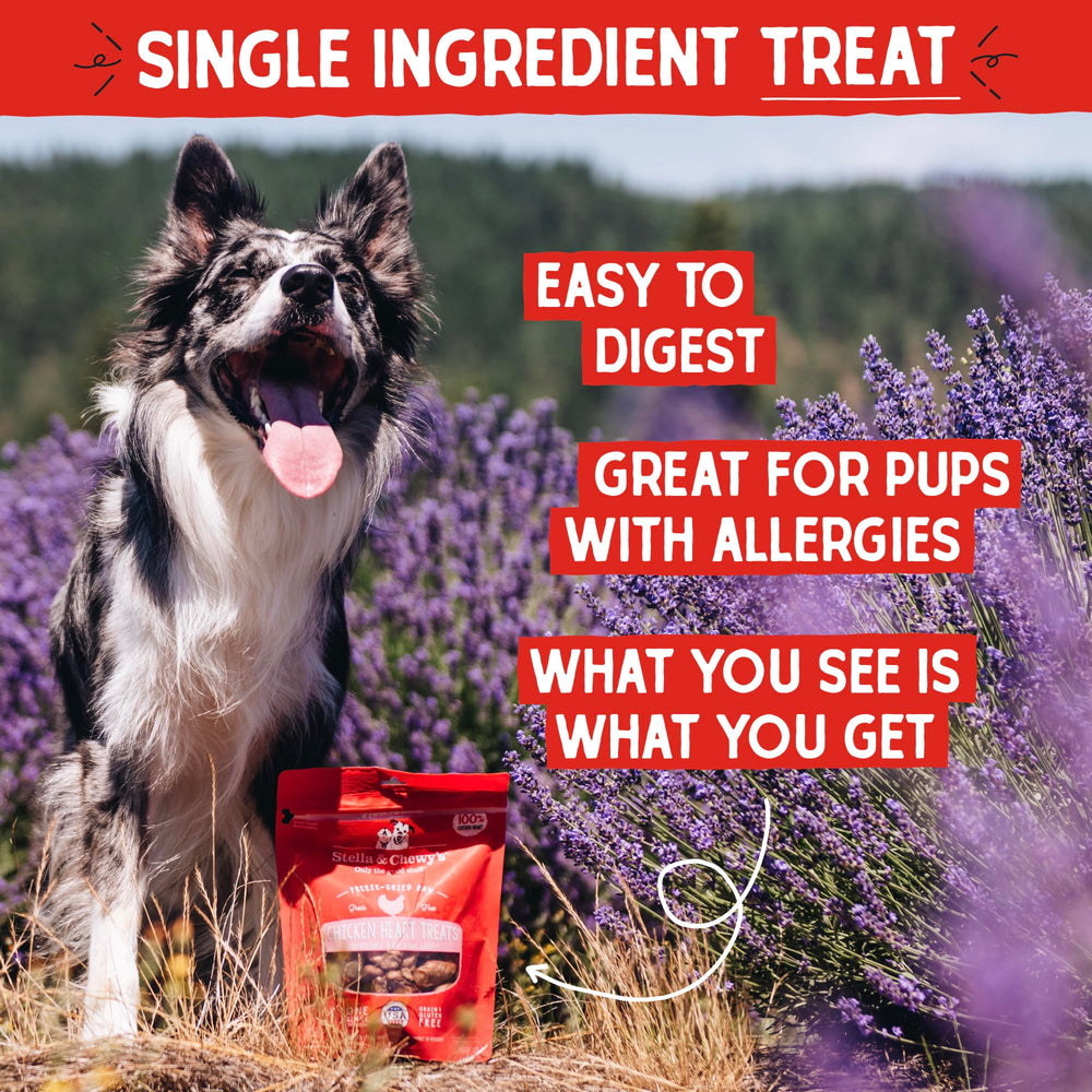 Stella & Chewy's unbroken chicken heart pieces ideal for training sessions.