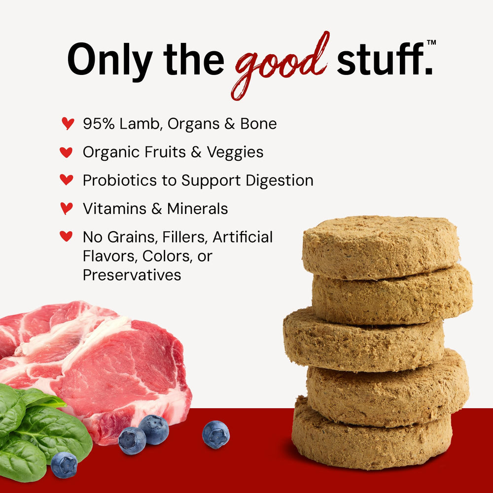 Stella & Chewy's Dandy Lamb patties rehydrated for a softer, meal-ready serving.