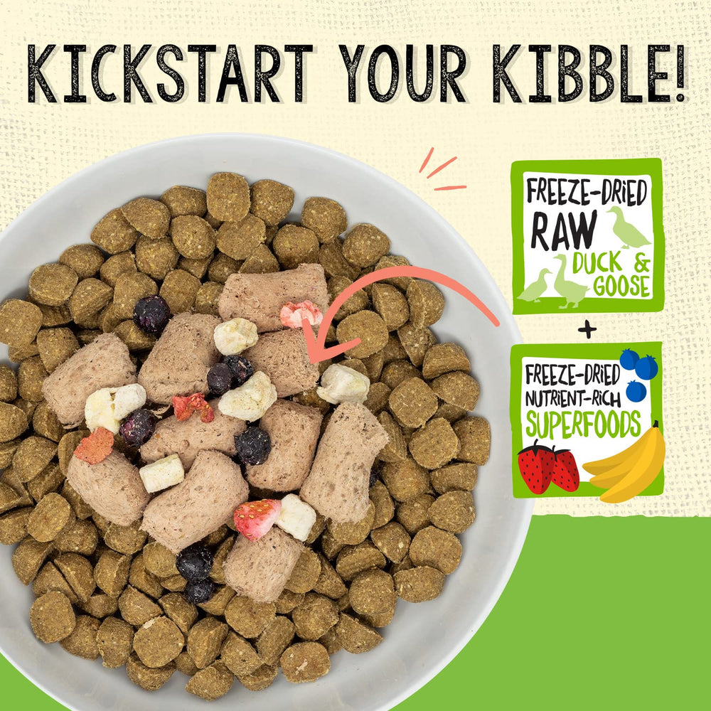 Stella & Chewy's duck meal mixer being poured over kibble to boost flavor