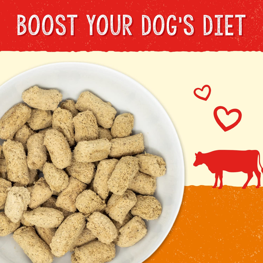 Stella & Chewy's freeze-dried raw beef dinner close-up for convenient daily feeding
