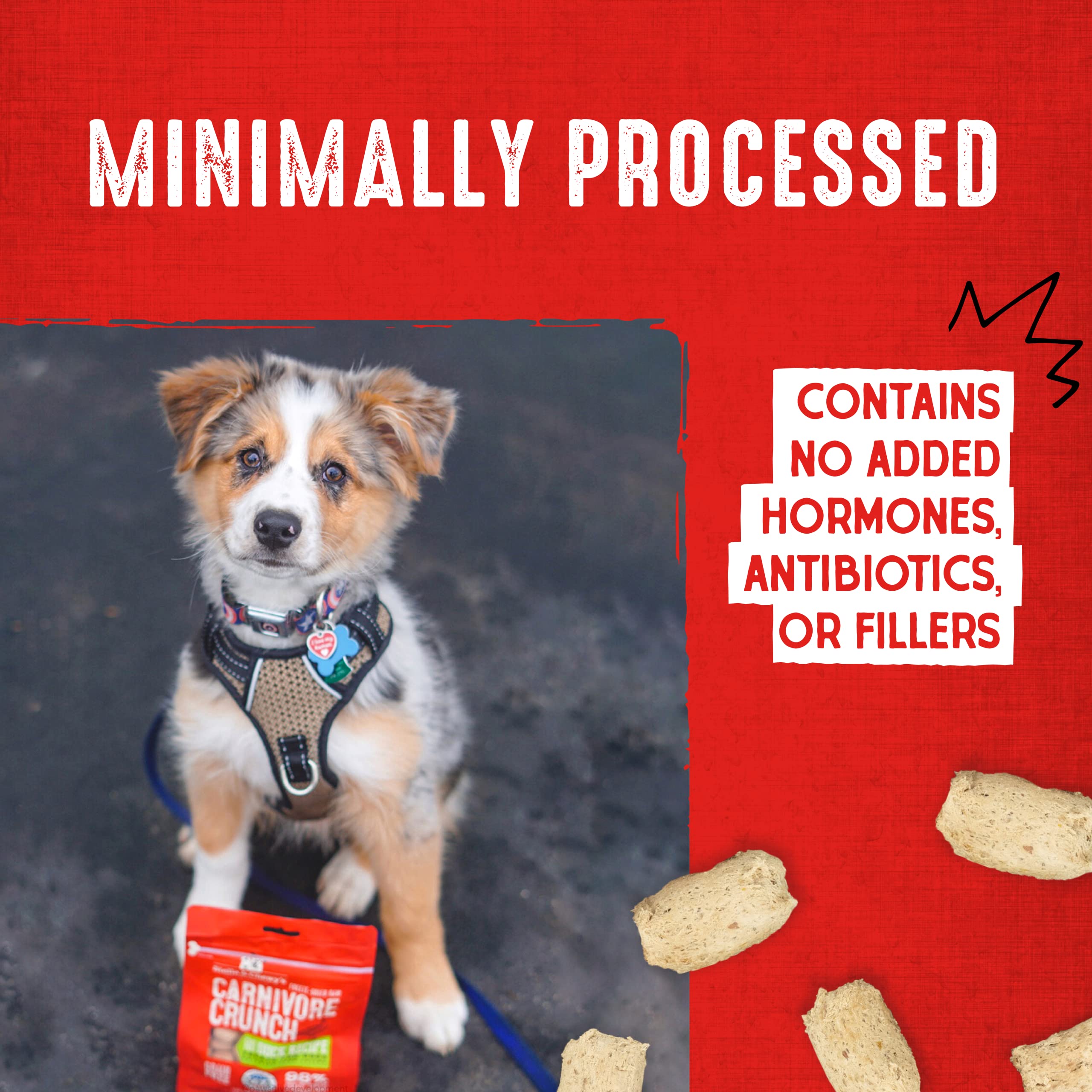 Stella & Chewy's Carnivore Crunch shelf-stable packaging for raw nutrition.