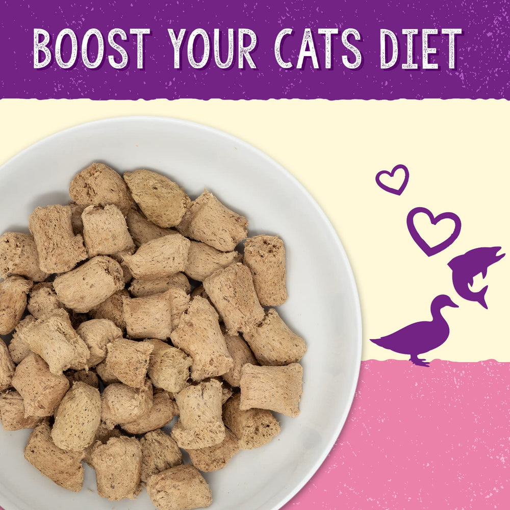 Stella & Chewy's freeze-dried raw mix enhances flavor as a meal topper