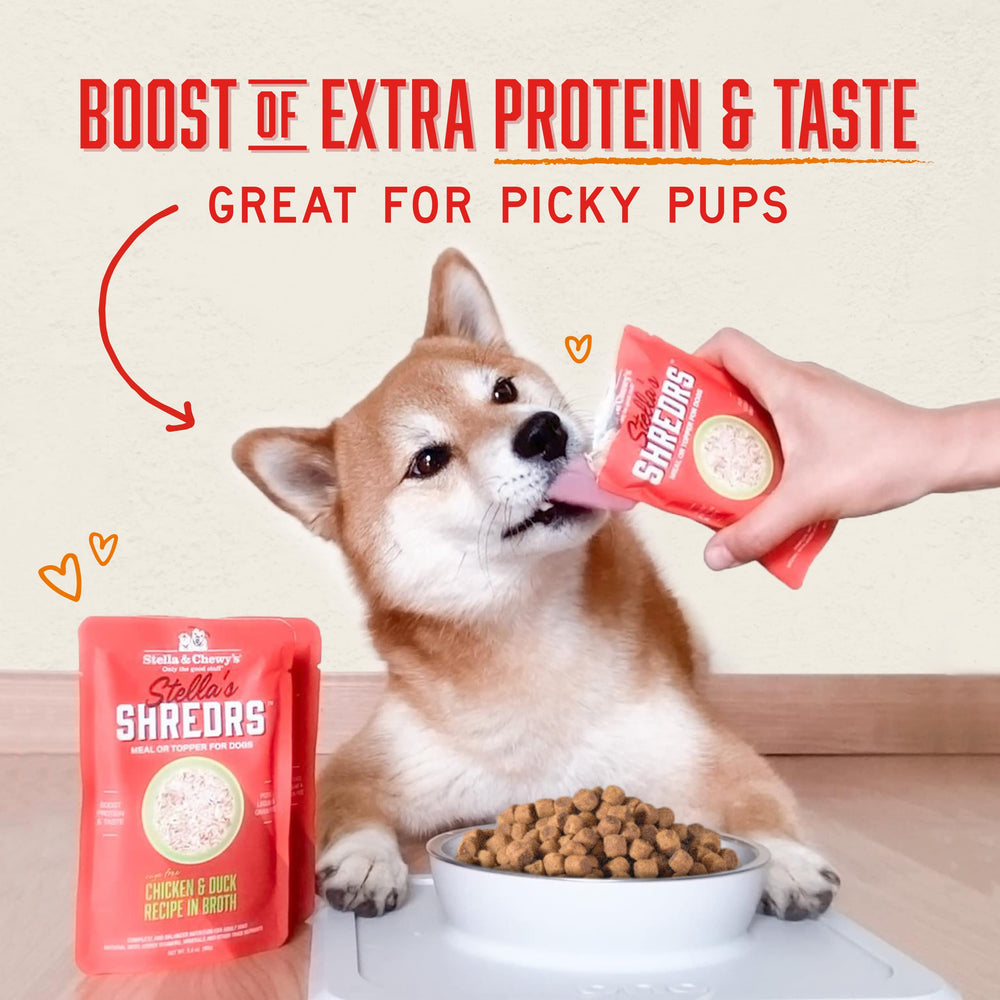 Freeze-dried raw nutrition in broth from Stella & Chewy's