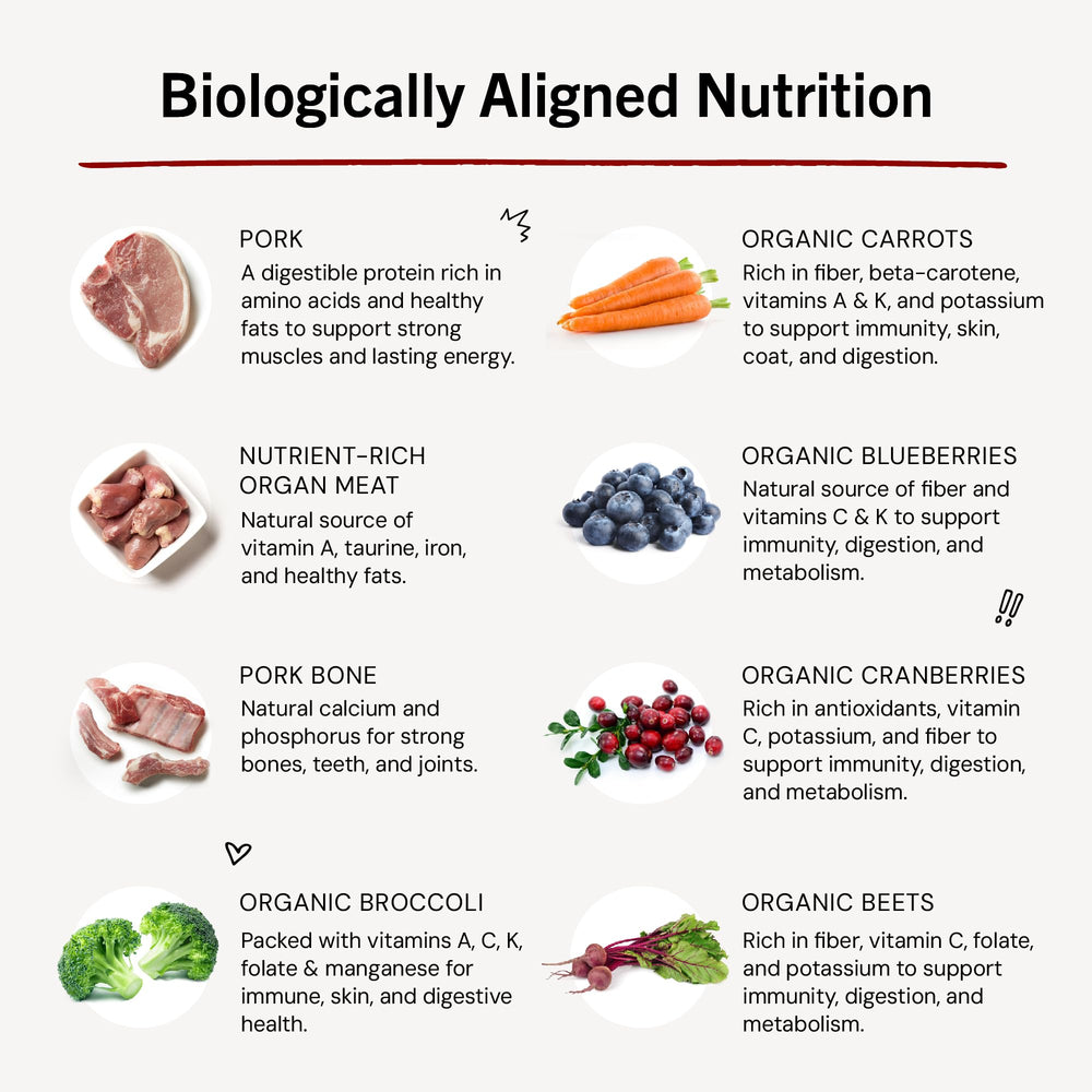 Ingredient panel on Stella & Chewy's pork meal mixers highlighting grain-free nutrition