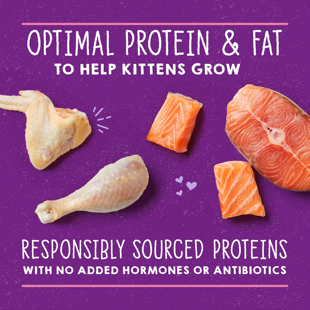 Stella & Chewy's grain-free chicken and salmon paté ingredients highlighted.