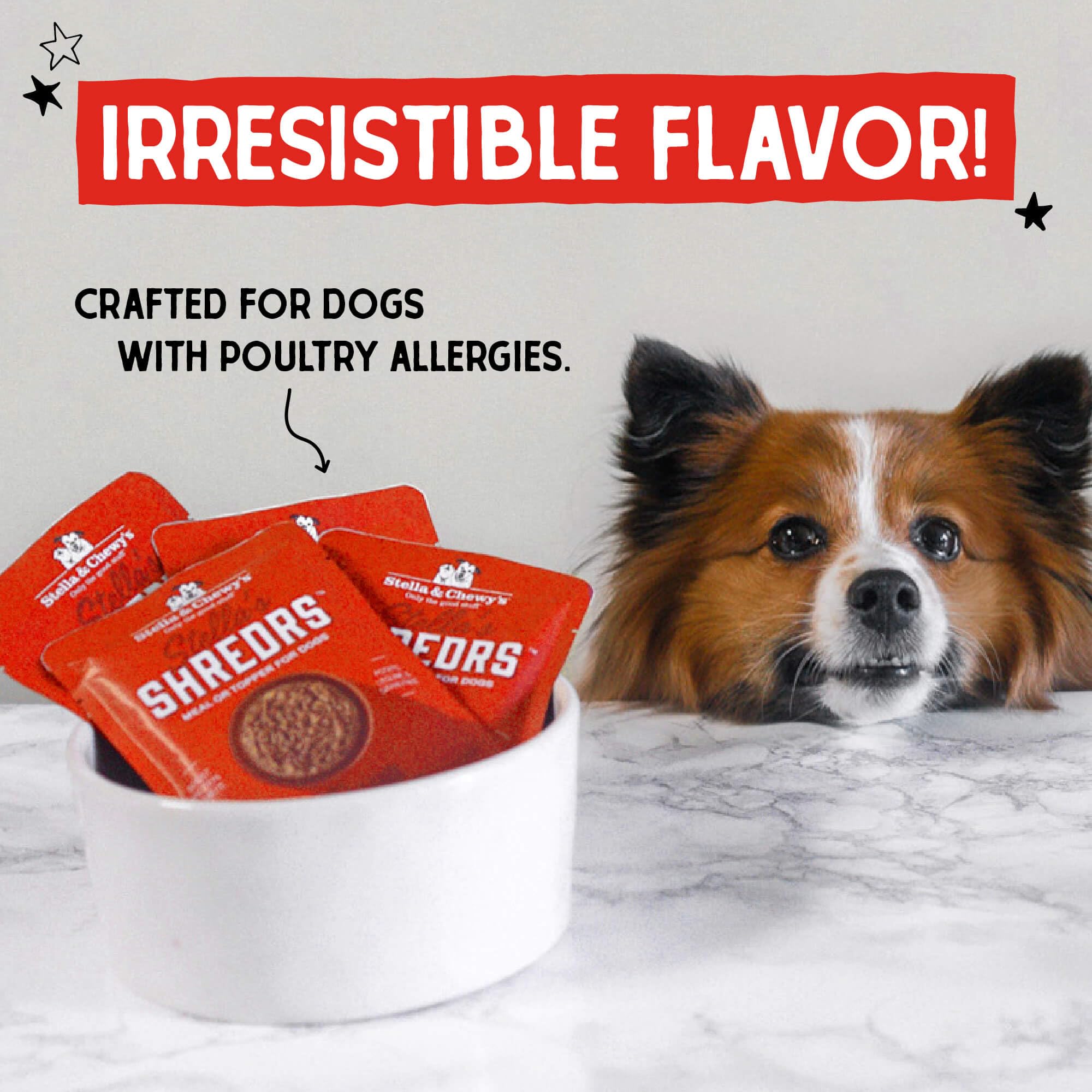 Stella & Chewy's Shredrs 24-pouch bundle ready for easy meals.