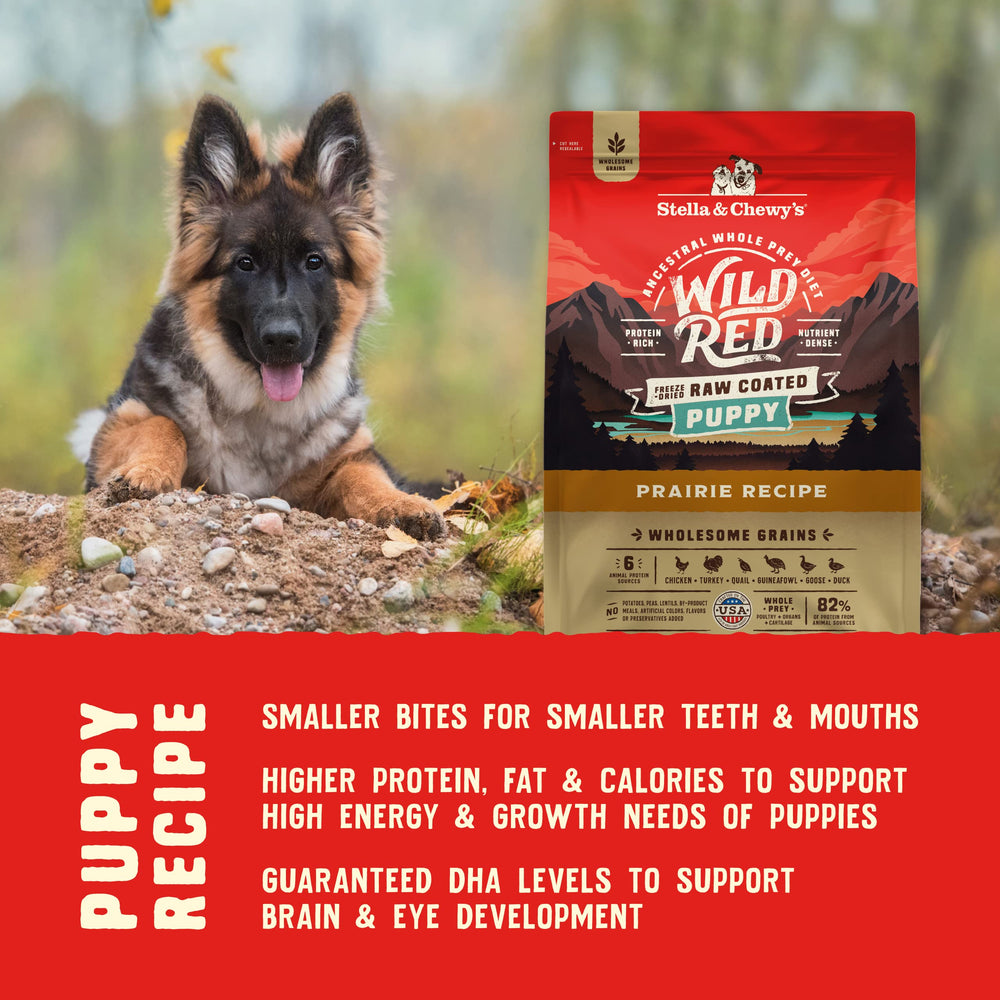 Stella & Chewy's taurine-containing recipe supports heart health and growth