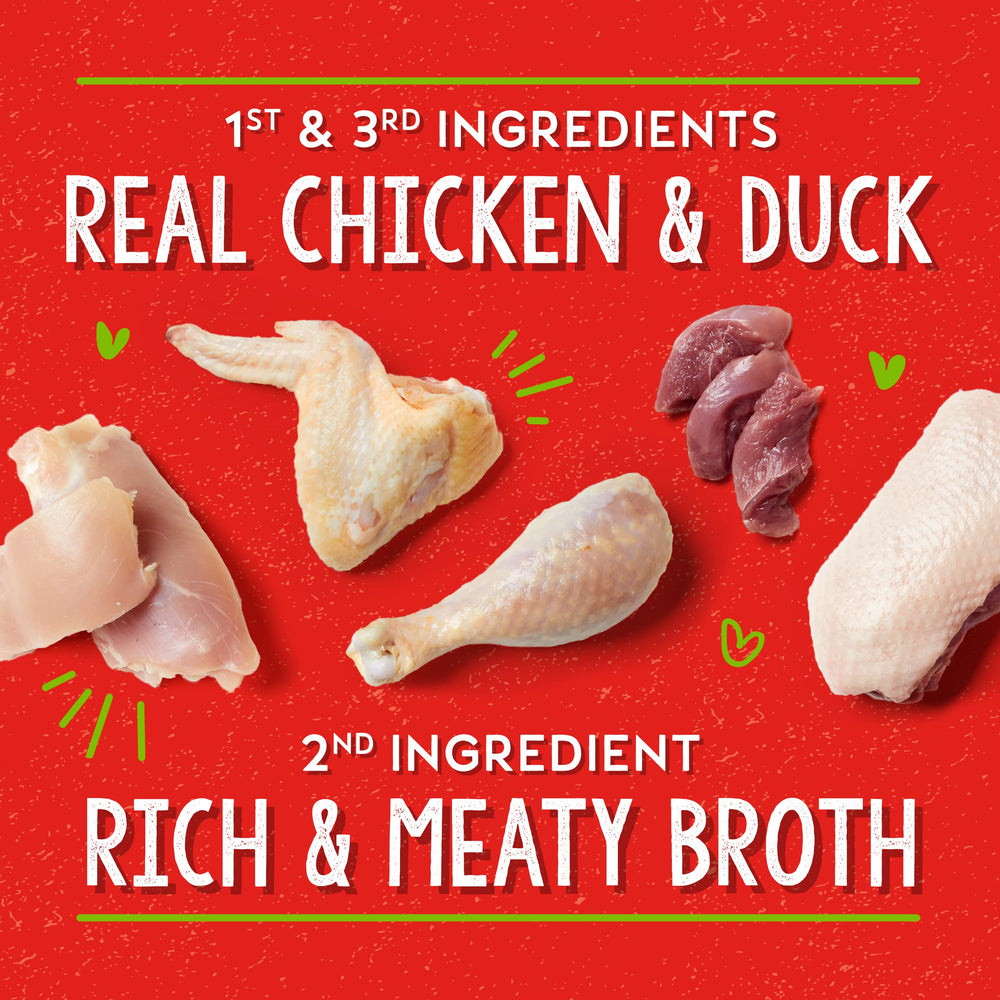 Lil’ Bites Savory Stews cups, pack of 12, ready-to-serve for small breeds.