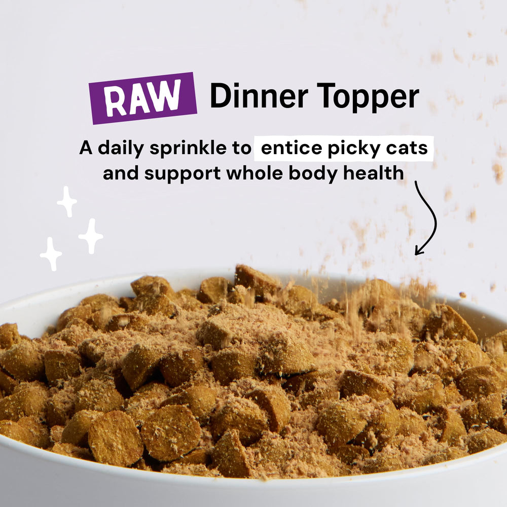 Close-up of Magical Dinner Dust powder highlighting fine texture for even distribution