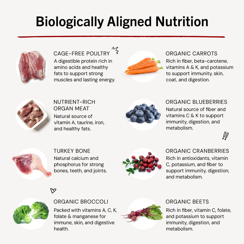 No artificial ingredients or grains in Stella & Chewy's Dinner Dust.