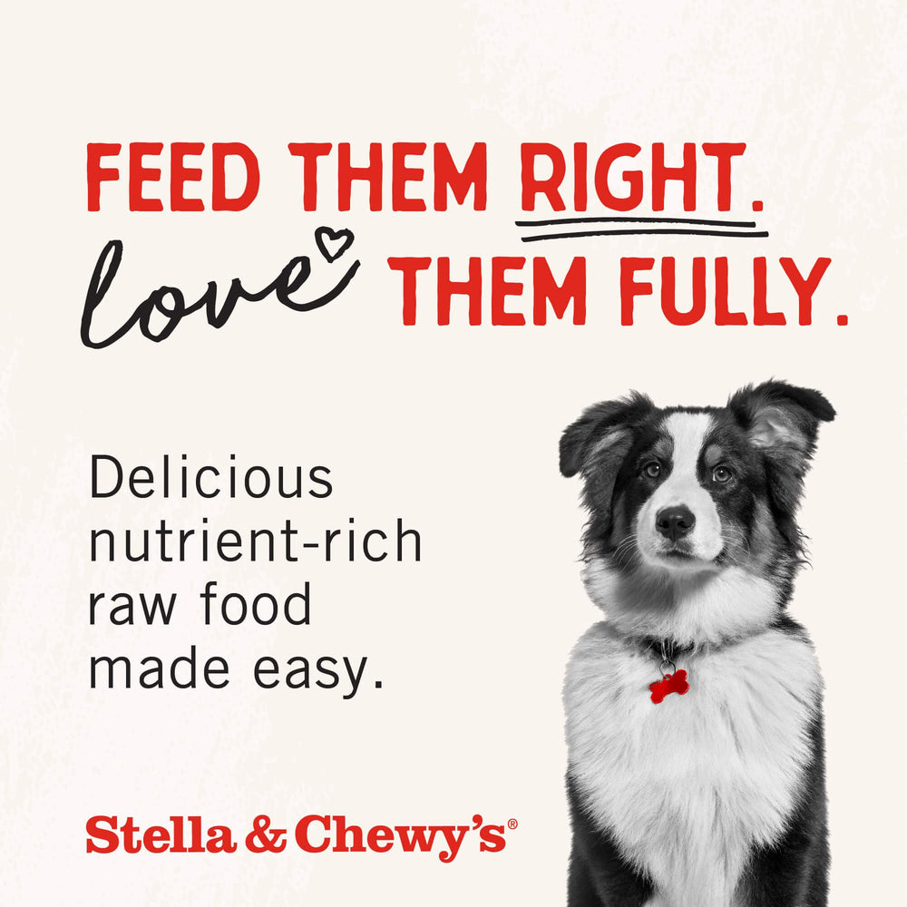 Packaging from Stella & Chewy's with clear nutrition information for sensitive pets.